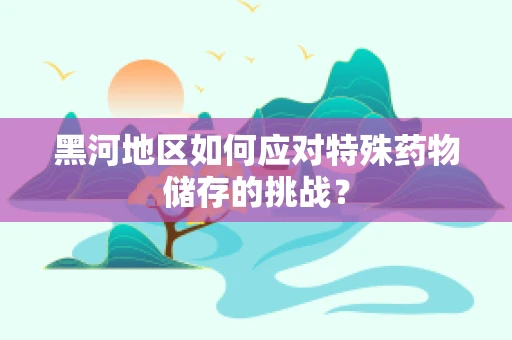 黑河地区如何应对特殊药物储存的挑战？