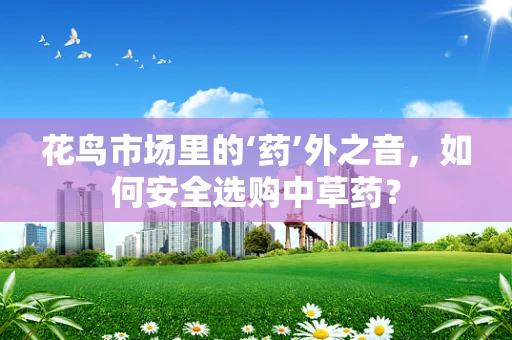 花鸟市场里的‘药’外之音，如何安全选购中草药？