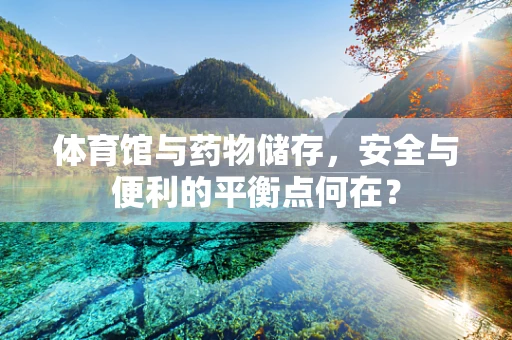 体育馆与药物储存，安全与便利的平衡点何在？