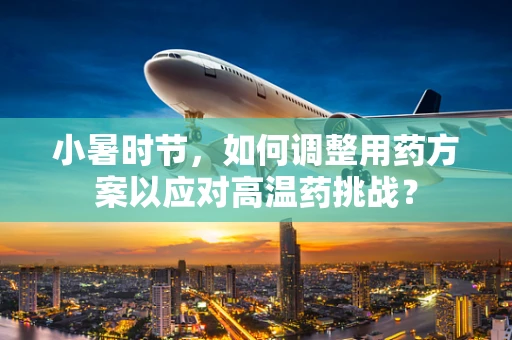 小暑时节，如何调整用药方案以应对高温药挑战？