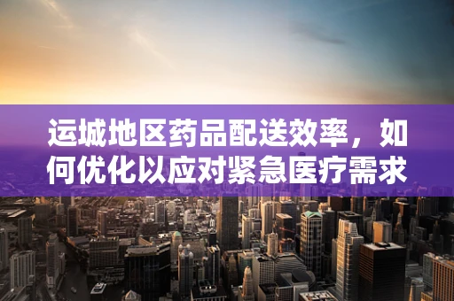 运城地区药品配送效率，如何优化以应对紧急医疗需求？