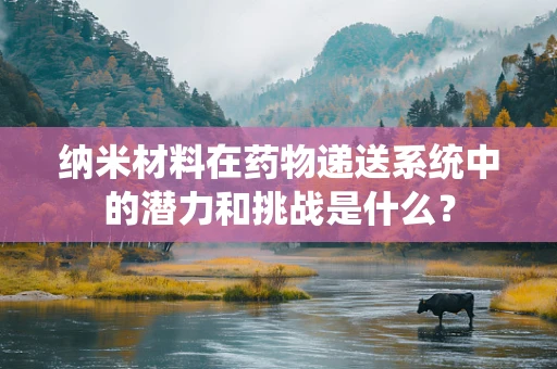 纳米材料在药物递送系统中的潜力和挑战是什么？