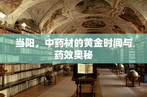 当阳，中药材的黄金时间与药效奥秘