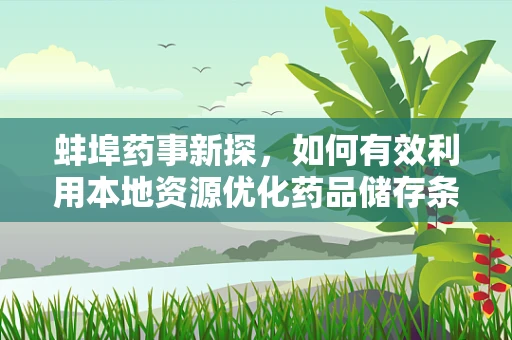 蚌埠药事新探，如何有效利用本地资源优化药品储存条件？