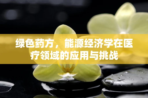 绿色药方，能源经济学在医疗领域的应用与挑战
