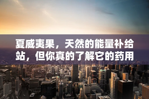 夏威夷果，天然的能量补给站，但你真的了解它的药用价值吗？
