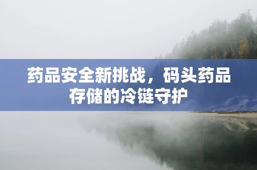 药品安全新挑战，码头药品存储的冷链守护