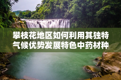 攀枝花地区如何利用其独特气候优势发展特色中药材种植？