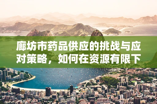 廊坊市药品供应的挑战与应对策略，如何在资源有限下保障高效供给？