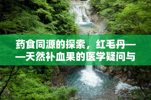药食同源的探索，红毛丹——天然补血果的医学疑问与解答