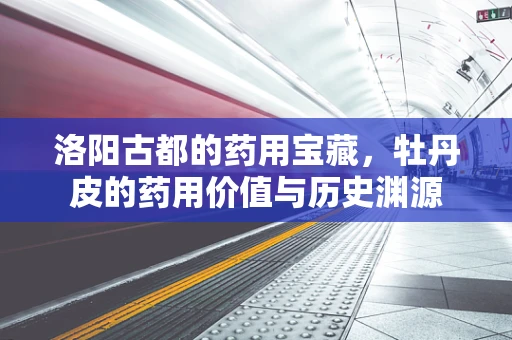 洛阳古都的药用宝藏，牡丹皮的药用价值与历史渊源