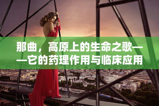 那曲，高原上的生命之歌——它的药理作用与临床应用