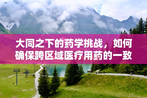 大同之下的药学挑战，如何确保跨区域医疗用药的一致性？