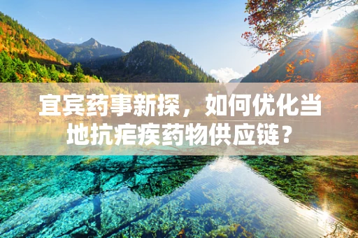 宜宾药事新探，如何优化当地抗疟疾药物供应链？