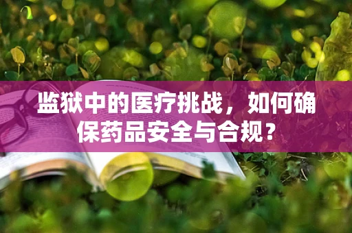 监狱中的医疗挑战，如何确保药品安全与合规？