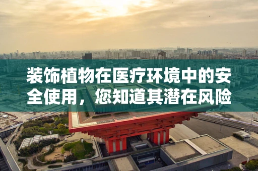 装饰植物在医疗环境中的安全使用，您知道其潜在风险吗？