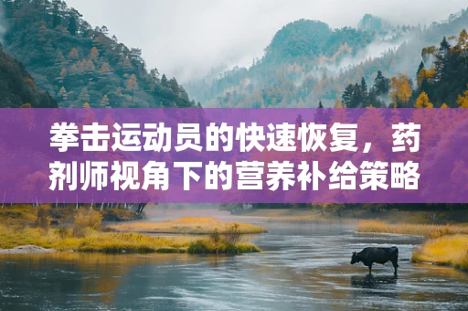 拳击运动员的快速恢复，药剂师视角下的营养补给策略