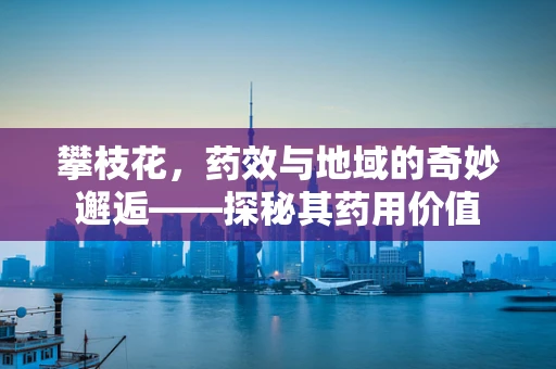攀枝花，药效与地域的奇妙邂逅——探秘其药用价值