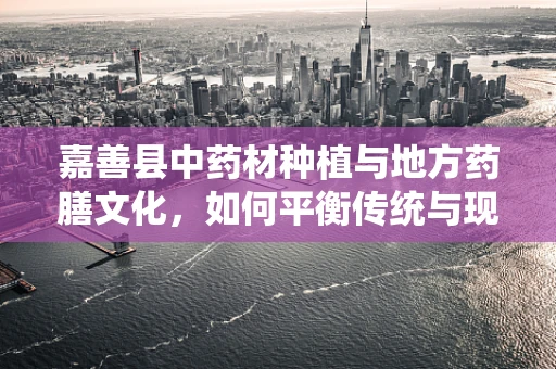 嘉善县中药材种植与地方药膳文化，如何平衡传统与现代？