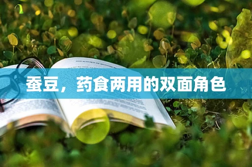 蚕豆，药食两用的双面角色