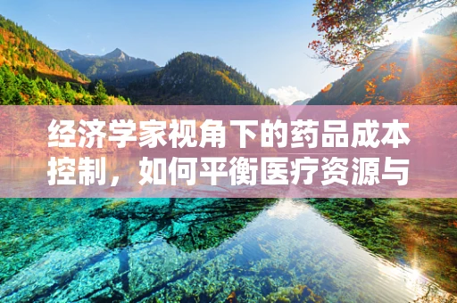 经济学家视角下的药品成本控制，如何平衡医疗资源与患者负担？