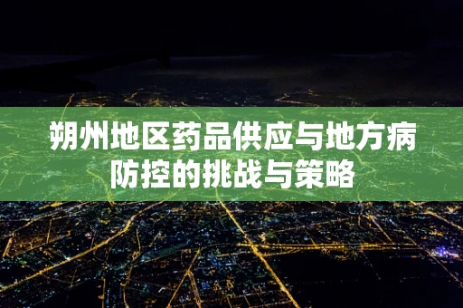朔州地区药品供应与地方病防控的挑战与策略