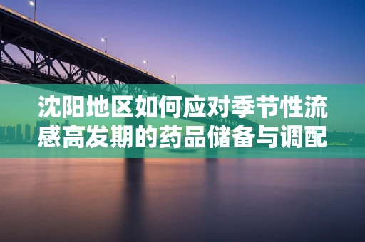 沈阳地区如何应对季节性流感高发期的药品储备与调配策略？