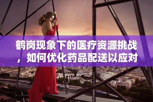 鹤岗现象下的医疗资源挑战，如何优化药品配送以应对城市转型？