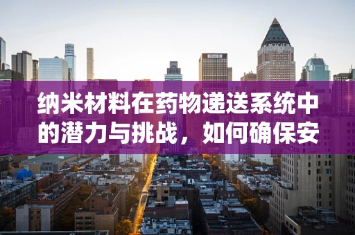 纳米材料在药物递送系统中的潜力与挑战，如何确保安全与效率的平衡？
