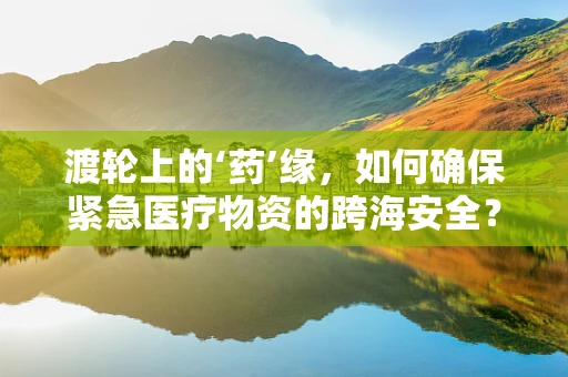 渡轮上的‘药’缘，如何确保紧急医疗物资的跨海安全？