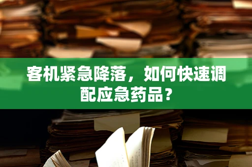 客机紧急降落，如何快速调配应急药品？
