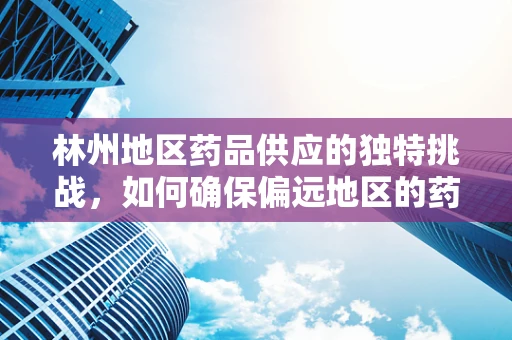 林州地区药品供应的独特挑战，如何确保偏远地区的药物可及性？