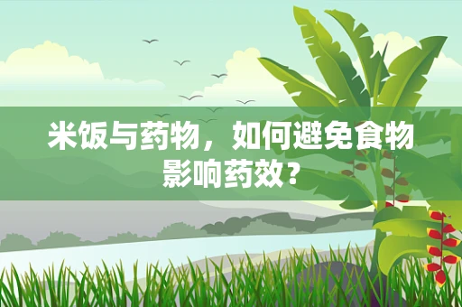 米饭与药物，如何避免食物影响药效？