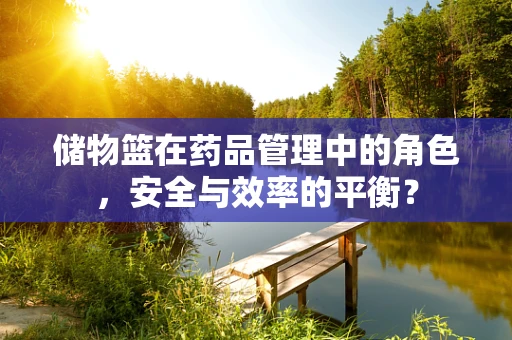 储物篮在药品管理中的角色，安全与效率的平衡？