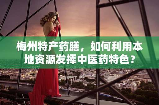 梅州特产药膳，如何利用本地资源发挥中医药特色？