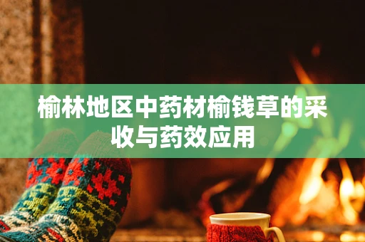 榆林地区中药材榆钱草的采收与药效应用