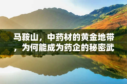马鞍山，中药材的黄金地带，为何能成为药企的秘密武器？