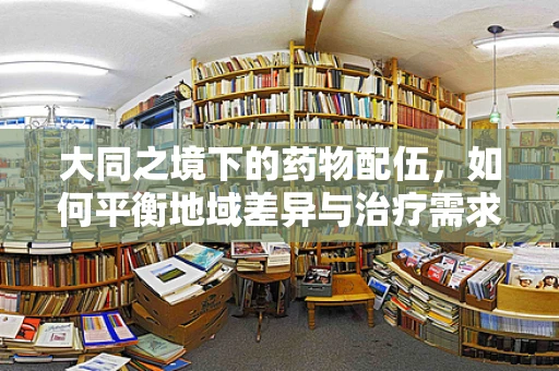 大同之境下的药物配伍，如何平衡地域差异与治疗需求？