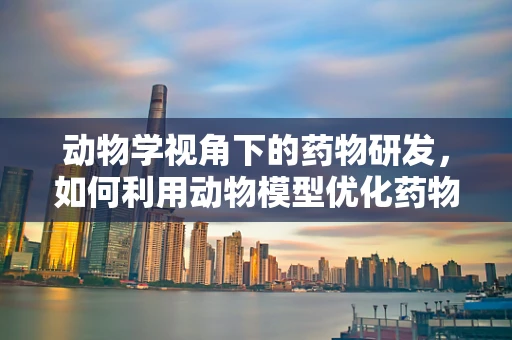 动物学视角下的药物研发，如何利用动物模型优化药物安全性？
