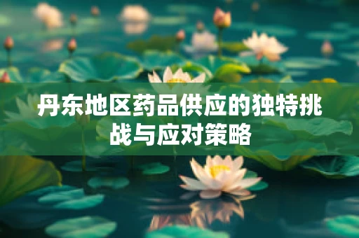 丹东地区药品供应的独特挑战与应对策略