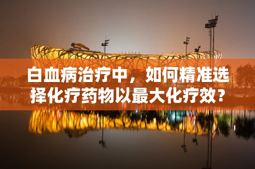 白血病治疗中，如何精准选择化疗药物以最大化疗效？