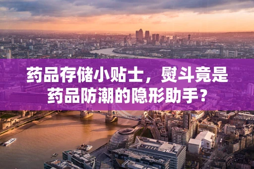 药品存储小贴士，熨斗竟是药品防潮的隐形助手？