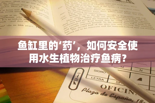 鱼缸里的‘药’，如何安全使用水生植物治疗鱼病？