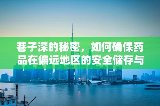巷子深的秘密，如何确保药品在偏远地区的安全储存与高效配送？