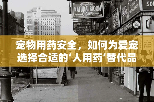 宠物用药安全，如何为爱宠选择合适的‘人用药’替代品？