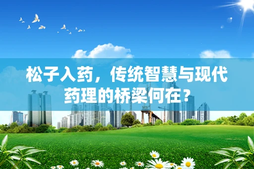 松子入药，传统智慧与现代药理的桥梁何在？