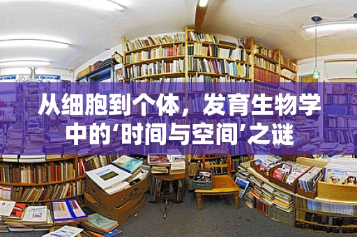 从细胞到个体，发育生物学中的‘时间与空间’之谜