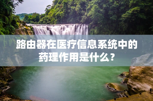 路由器在医疗信息系统中的药理作用是什么？