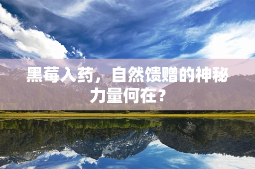 黑莓入药，自然馈赠的神秘力量何在？