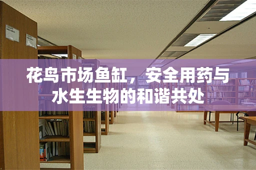花鸟市场鱼缸，安全用药与水生生物的和谐共处